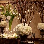 hydrangeas callas,manzanitas,wedding centerpieces perla farms wedding flowers.